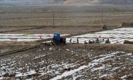 Quang cảnh trên một cánh đồng Triều Tiên năm 2011. (Ảnh: CNN)