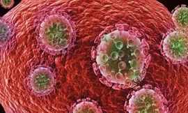 Chấn động vụ phát hiện 12.000 liều thuốc dương tính với HIV