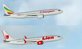 Hai vụ tai nạn của Ethiopian Airlines và Lion Air có những điểm tương đồng. 