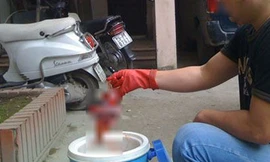 Đột nhập nguồn cung nhau thai tươi