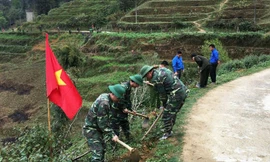 Chương trình sẽ trồng 3.000 cây xanh ở khu vực biên giới. Ảnh: Trung Dũng