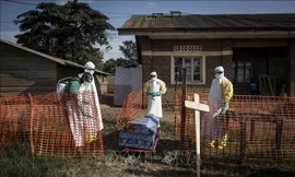 Nhân viên y tế phun thuốc khử trùng xung quanh quan tài một bệnh nhân tử vong do Ebola tại Beni, CHDC Congo. Ảnh tư liệu: AFP/TTXVN