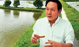 Đón tin vui từ Mỹ, đại gia Việt 1 mùa thu hoạch tỷ USD