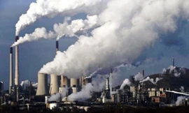 Xem Mexico “phủ xanh” trụ đường cao tốc để giải quyết nạn ô nhiễm