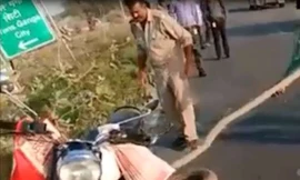 Trăn khủng liên tiếp chồm lên tấn công cảnh sát ở Ấn Độ