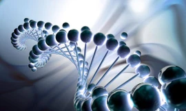 Trong tương lai không xa, các nhà khoa học Mỹ cho rằng có cách giúp con người chống lại được quy luật lão hoá tự nhiên.