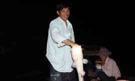 Cao thủ săn cá ngát miền Tây