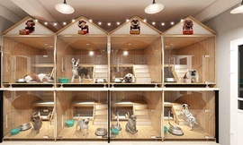 Khách sạn cho thú cưng của một cửa hàng tại Hà Nội. Ảnh: NVCC