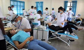 Bệnh nhân được các bác sĩ nha khoa Pháp khám, chữa các bệnh về răng