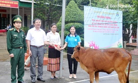 Lãnh đạo huyện Anh Sơn, Hội LHPN huyện và Đồn Biên phòng Phúc Sơn trao tặng bò cho chị Hồ Thị Thúy (bản Vều 4). Ảnh: Công Kiên
