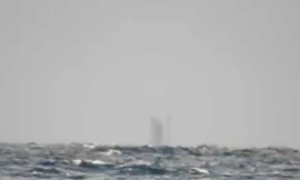 [VIDEO] Bí ẩn ‘con tàu ma’ trên mặt hồ ở Mỹ