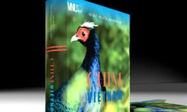 Cuốn "Chim Việt Nam" bị thu hồi và tiêu hủy vì vi phạm bản quyền ảnh