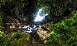 Tác phẩm hang Tú Làn của Bùi Thắng