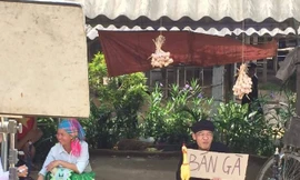 Trung ruồi trong vai A Lử, chàng dân tộc lên thành phố