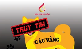 Mở hẳn hai ngày casting tìm chú chó thông minh đóng Cậu Vàng