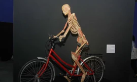 Sở VHTT TPHCM ra quyết định tạm dừng triển lãm