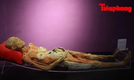 Bộ VHTTDL chưa có quyết định cuối cùng về triển lãm đang gây tranh cãi