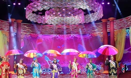 Dàn Táo đông đảo năm 2018