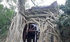 Thành cổ Sơn Tây được "nhốt" trong khung sắt để tránh bị đổ trong lúc chờ dự án tu bổ. Ảnh: Lao Động