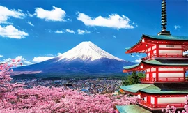 Nhật Bản hủy bỏ tư cách, đình chỉ 8 công ty du lịch đại diện tư cách xin cấp visa đoàn