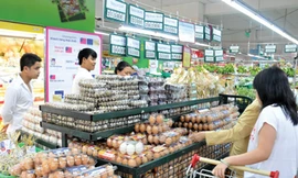 Giá trứng gia cầm tại các chợ đã giảm mạnh trong khi ở các siêu thị giá trứng, đặc biệt là hàng bình ổn vẫn giữ nguyên mức cũ - Ảnh: Diệp Đức Minh