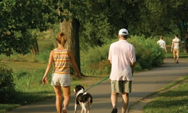 Dạo với khuyển, giảm nguy cơ tim