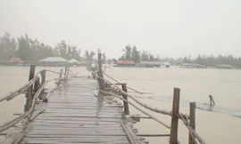 Gẫy cầu, 12 du khách rơi xuống nước