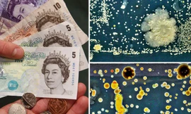 Cực sốc khi biết tiền polymer chúng ta vẫn dùng có thể BẨN đến như thế nào 