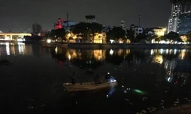Cá chết hàng loạt trên hồ Hoàng Cầu do sốc nhiệt