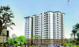 Nhà giá rẻ cho đối tượng 8X