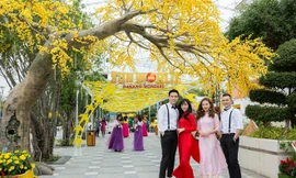 Đặc sắc Lễ hội “Mai vàng sắc xuân” Sun World Danang Wonders