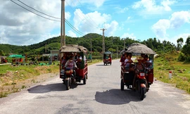 Ảnh mang tính minh họa