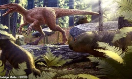 Khủng long khổng lồ nhưng lại sinh con bé xíu