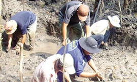 Một cảnh khai quật cổ vật.