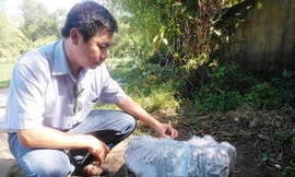 Sự thật hòn đá lăn lông lốc bỗng nổi tiếng chữa được bệnh