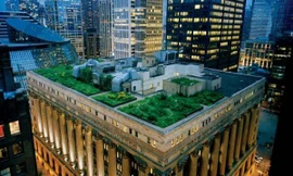 Pháp ra luật trồng cây trên nóc tòa nhà