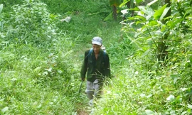  “Người rừng” Hồ Văn Lang hòa nhập nhanh với cuộc sống cộng đồng