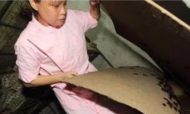 Người phụ nữ nuôi 100.000 con gián như con