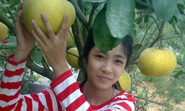 Nữ sinh đi khỏi nhà do áp lực chuyện học hành.