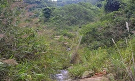 Hãi hùng vùng đất cứ đẻ sinh đôi thì giết một bé cúng Giàng