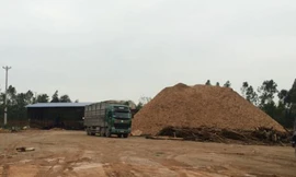 Tháo dỡ 26 cơ sở băm dăm gỗ không phép