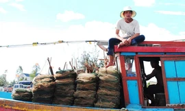 Ngư dân sử dụng ngư lưới cụ thô sơ khai thác ven biển Tây Nam Cà Mau 