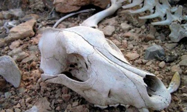 Bí ẩn Thung lũng chết thuộc top nguy hiểm nhất hành tinh