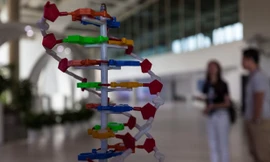 Phụ huynh phải nộp xét nghiệm DNA của con để ngăn 'chạy' trường