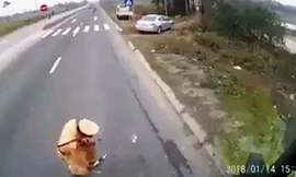 Hình ảnh cảnh sát giao thông Hà Nam gây xôn xao dư luận thời gian vừa qua (ảnh cắt từ clip).