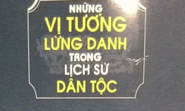 Danh tướng Việt, hình 'game' Tam Quốc
