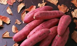 Chữa say tàu xe, mụn nhọt… bằng khoai lang