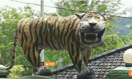 Tượng hổ cười xấu lạ đứng ngạo nghễ bên ngoài căn cứ quân sự ở Cisewu, tỉnh Tây Java, Indonesia suốt 6 năm qua