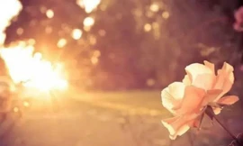 Thứ Tư của bạn: Kim Ngưu nhìn xa trông rộng, Bảo Bình tình yêu lãng mạn