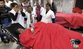 Các nạn nhân may mắn sống sót